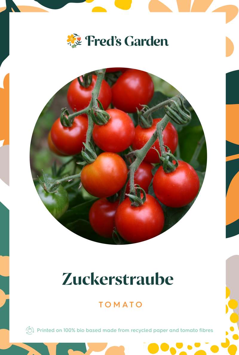 Cherrytomat 'Sweetie' (frø)